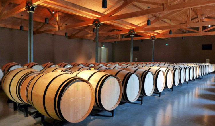 Chateau de Fieuzal, Pessac-Leognan